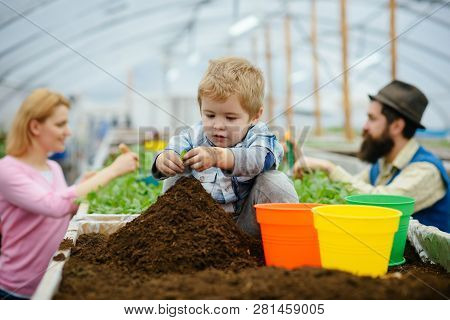 Little Biologist. Little Biologist Work With Soil. Little Biologist In Greenhouse. Little Biologist 