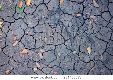 Drought Land Top View Photo. Dry Soil With Crack Net And Fallen Yellow Leaves. Arid Land Texture. Bl