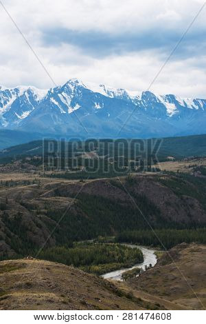 Summer in Kurai steppe and North-Chui ridge of Altai mountains, Russia. Cloud day.
