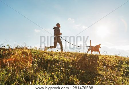 Canicross Exercises. Man Runs With His Beagle Dog At Sunny Morning