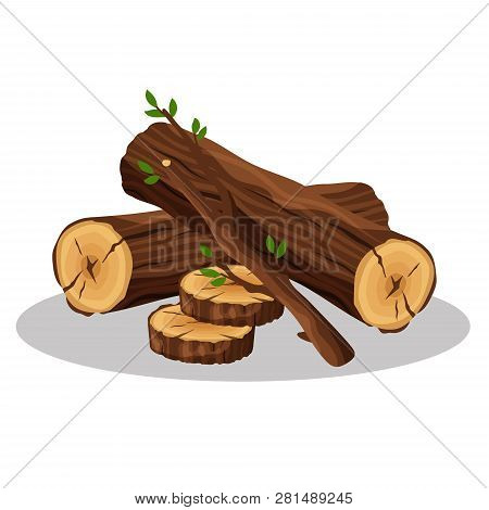Stack Of Firewood Materials For Lumber Industry Isolated On White Background. Pile Of Wood Logs Tree