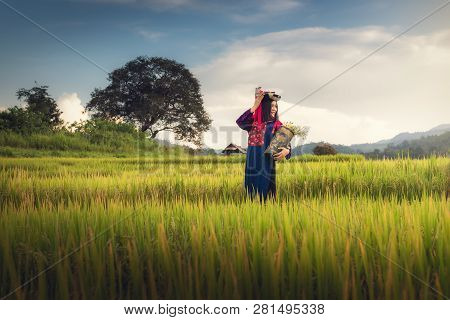 Portrait Of Woman Tribal Lisu In Traditional Dress And Jewelry Costume In Rice Fields., Lifestyle Of