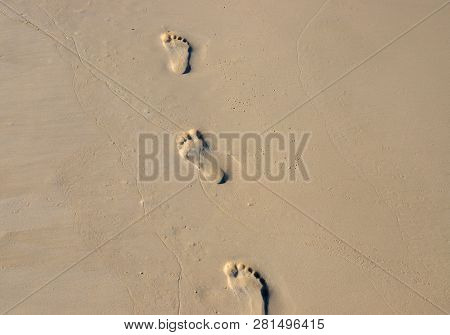 Barefoot Walk On Wet Yellow Sand. Beach Texture Photo. Foot Marks On Beach. Bare Foot Mark Banner. R