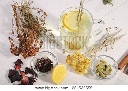 A Set Of Herbs From Traditional Medicine. Folk Treatment.