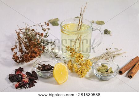 A Set Of Herbs From Traditional Medicine. Folk Treatment.