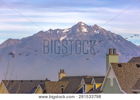 Homes And Birds Against Mount Timpanogos And Sky