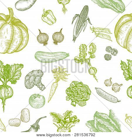 Seamless Pattern Of Natural Vegetables. Vector Hand Drawing.