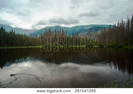 Post-glacial Lake Smreczynski Pond In Spring In The Mountains Of The Tatra Mountains In Poland