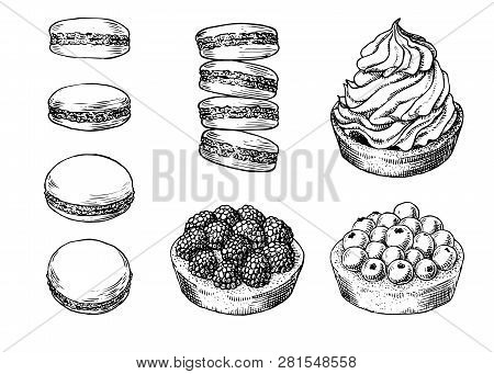 Set Of Delicious Hand Drawn Creamy Biscuit, French Macaroons And Tarts With Berries. Engraving Style