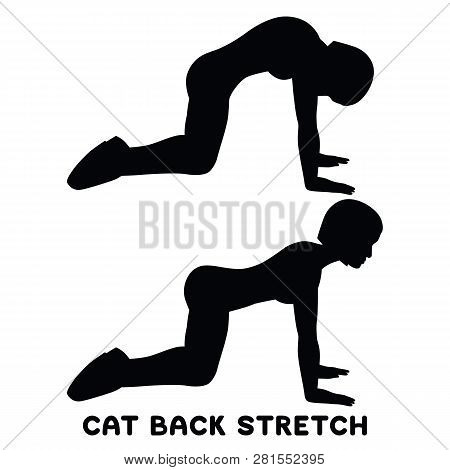 Cat Back Stretch. Backward Camel Stretch. Sport Exersice. Silhouettes Of Woman Doing Exercise. Worko