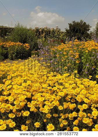 Flower Bed Border At The Botanical Gardens Of Wales