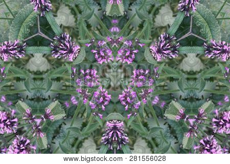 Abstract Kaleidoscope Background. Beautiful Multicolor Kaleidoscope Texture. Unique And Inimitable D