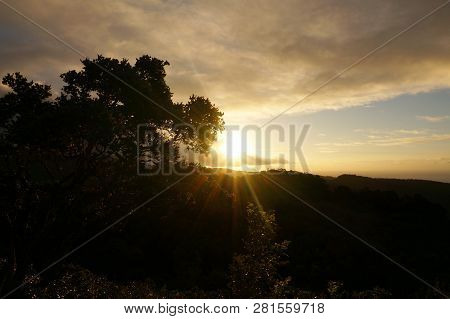 Sunset Behind The Tantalus Mountain Past Tropical Silhouette Of Trees Through The Clouds On Oahu, Ha
