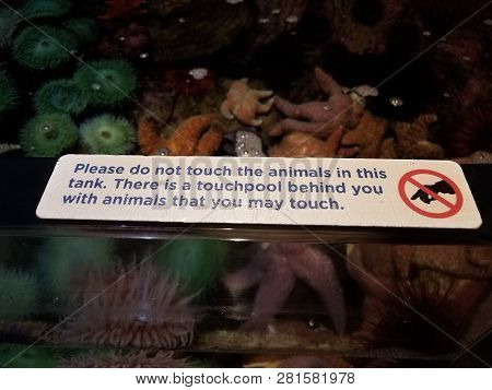 Please Do Not Touch The Animals In This Tank Sign