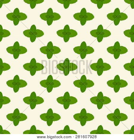 Summer Herb Print. Colorful Seamless Pattern With Mint Leafs.