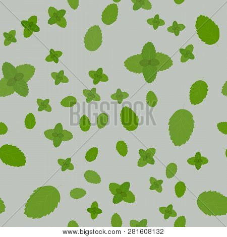 Green Eco Mint Leaf Background. Ecology Mint Seamless Pattern Design Plant Illustration.