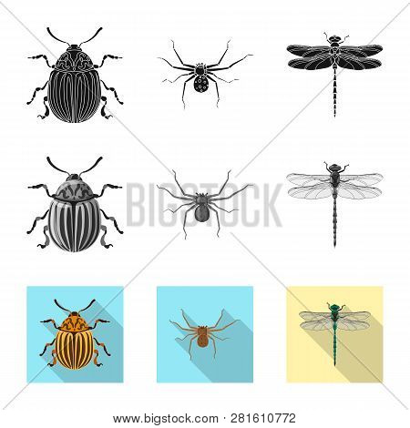 Isolated Object Of Insect And Fly Symbol. Set Of Insect And Element Stock Vector Illustration.