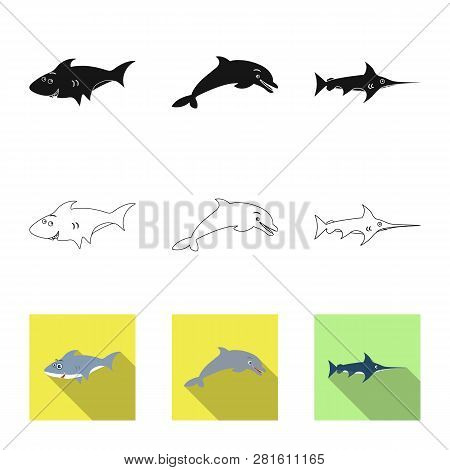 Vector Illustration Of Sea And Animal Icon. Set Of Sea And Marine Stock Vector Illustration.