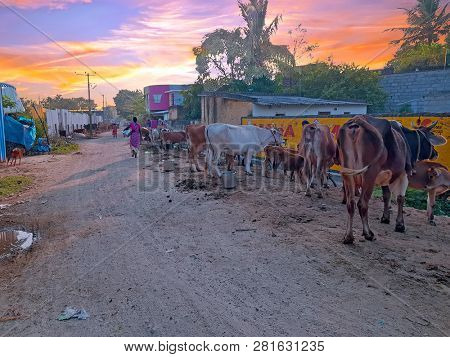 Street scene in Tiruvanamalai, Tamil Nadu in India at sunset