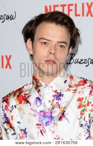 LOS ANGELES - JAN 28:  Charlie Heaton at the 