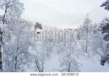 Frozen Landscape During Polar Night In Saariselka, Finland