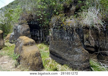 Volcanic Rock - Floreana Island - Galapagos