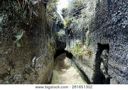 Volcanic Rock - Floreana Island - Galapagos