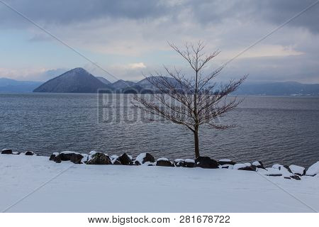 Beautiful Winter Landscape With Powder Snow On A Road In, Hokkaido Japan