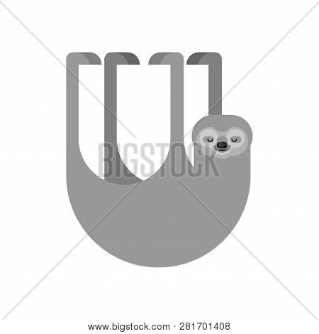 Sloth Isolated. Lazybones Animal Cartoon. Vector Illustration