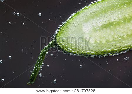 Half Of Cucumber Covered With Air Bubbles In Water