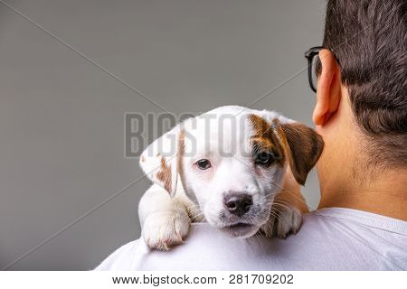 Horizontal Portrait Of Handsome Cheerful Man Holds Jack Russell Terrirer, Has Glad Expression