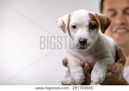 Horizontal Portrait Of Handsome Cheerful Man Holds Jack Russell Terrirer, Has Glad Expression