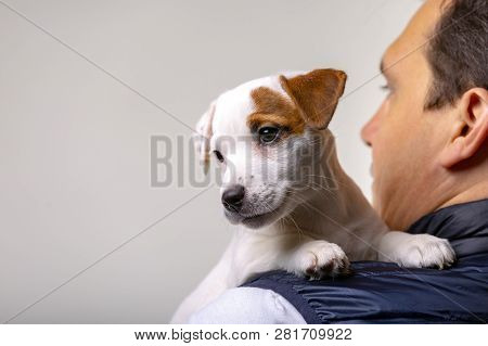 Horizontal Portrait Of Handsome Cheerful Man Holds Jack Russell Terrirer, Has Glad Expression