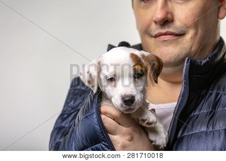 Horizontal Portrait Of Handsome Cheerful Man Holds Jack Russell Terrirer, Has Glad Expression