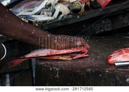 Chief Cook Cuts A Pargo Fish Or Red Snapper On A Wooden Cutting Board. Asian Food, Sri Lanka.