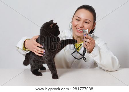 Cute Black Cat At The Doctor's Veterinarian. On White Background