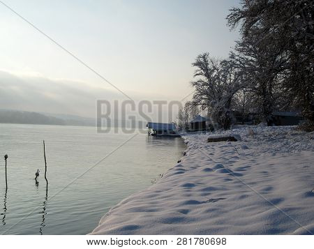 River Danube Environment In Futog, Vojvodina Serbia
