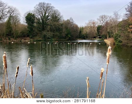 HAMPSTEAD HEATH, LONDON - 29 JANUARY, 2019: Ice covers the mixed sex bathing ponds during a cold snap on Hampstead Heath in Hampstead, London, UK.