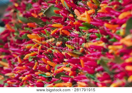 Chilis On The Display At Vegetables Market Stall, Showing A Shade Of Red And Orange