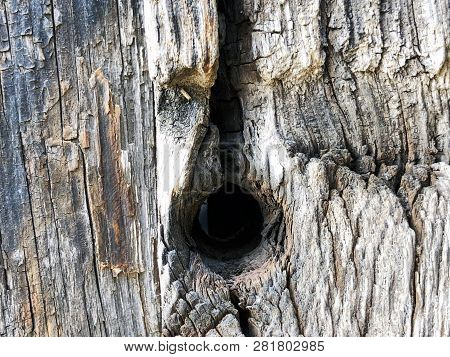 The Structure Of Wooden Fence. Shot From Close View.