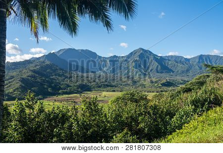 Palm Tree Frames Hanalei Valley From Princeville Overlook In Kauai