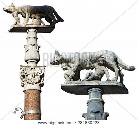 Lupa Senese Isolated On White Background - Wolf Female With Senio And Ascanio, Sons Of Remo, Founder