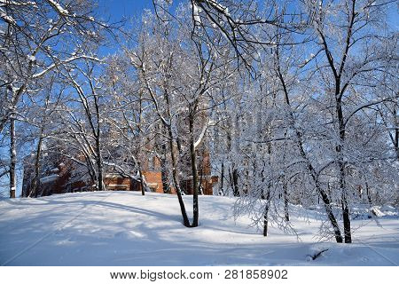 Sunny Day In Winter Park, Romon, Voronezh, Russia
