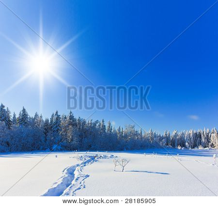 Vinterlige Aftrenoon