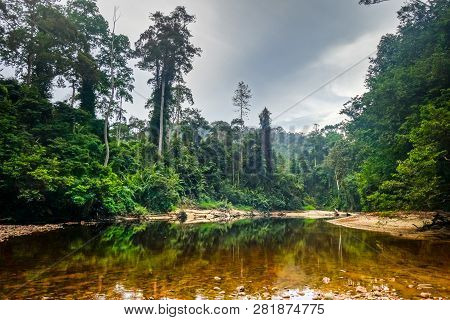 River In Jungle Rainforest. Taman Negara National Park, Malaysia