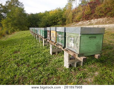 A File Of Beehives In A Meadow In The Langhe, Piedmont - Italy