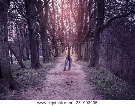 The Trodden Path In A Mysterious Mystical Place And The Tall Old Trees