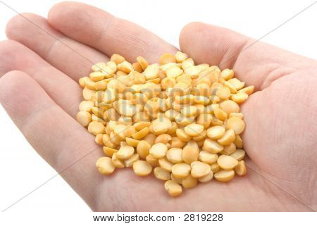 Erbsen In der Hand