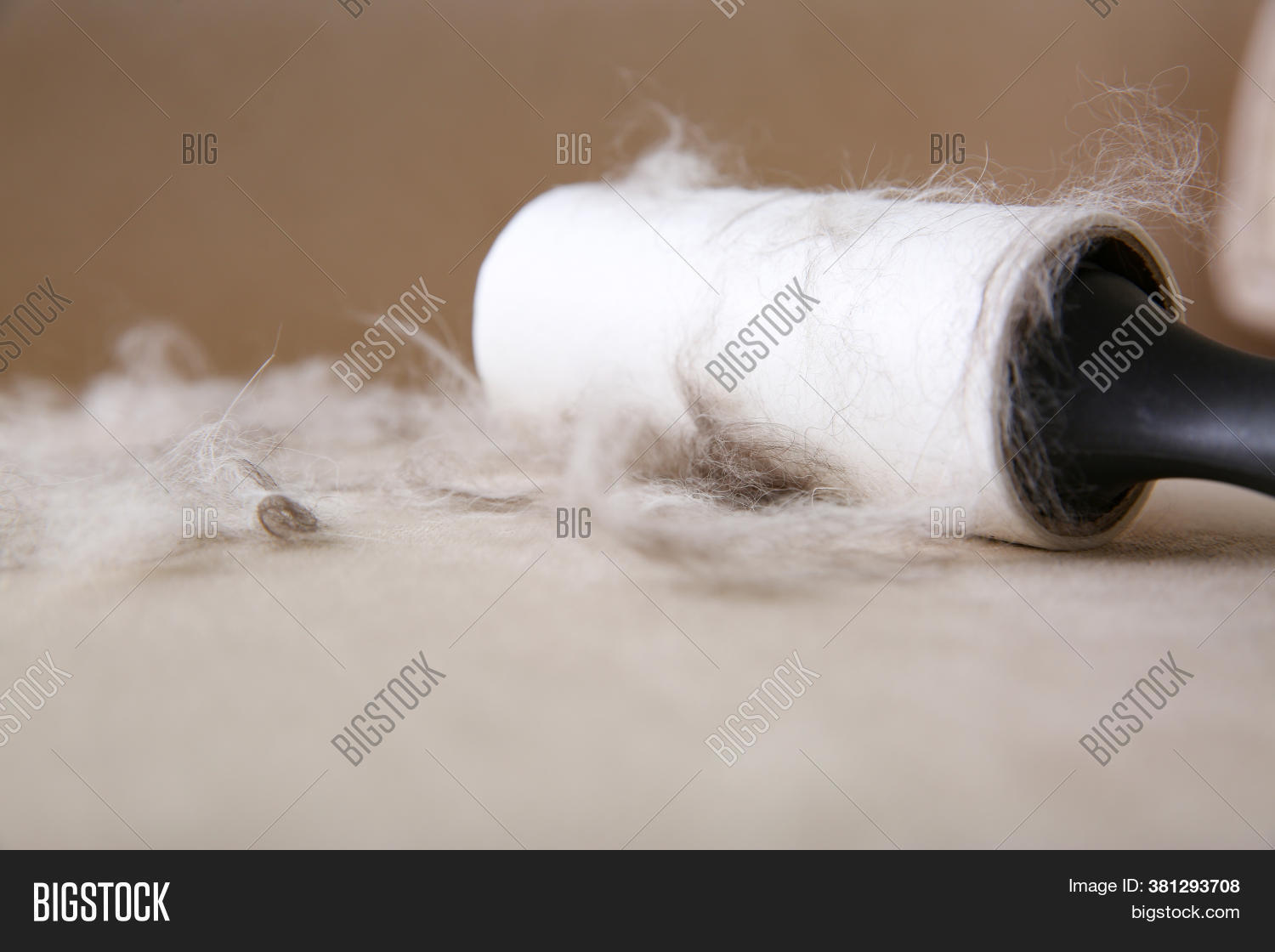 Modern Lint Roller Cat Image & Photo (Free Trial) Bigstock