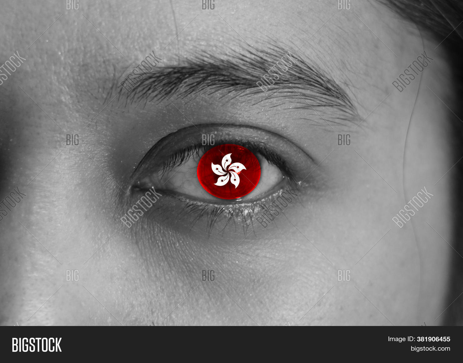 Black White Human Face Image & Photo (Free Trial) Bigstock